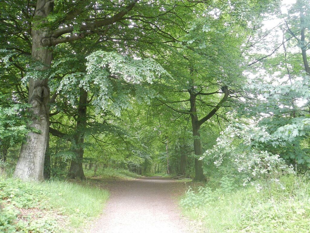 Stadswandeling Tholen – met gids in Tholen