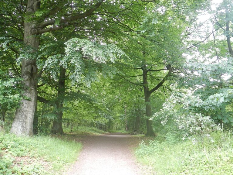 Stadswandeling Tholen – met gids — natuur in Tholen