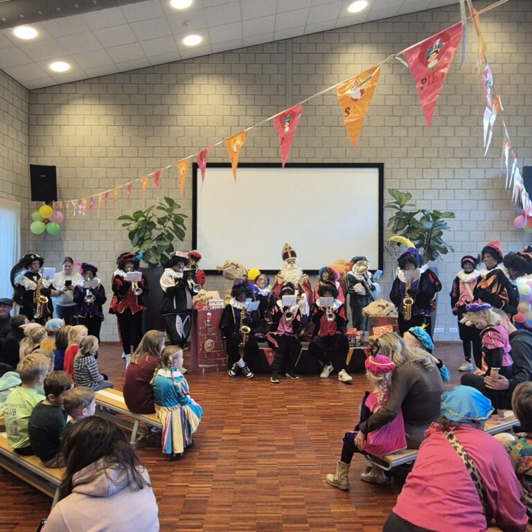 Sinterklaasintocht Sint-Maartensdijk — familie-kids in Tholen
